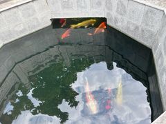 -西安市广仁寺