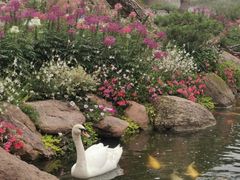 -罗红摄影艺术馆