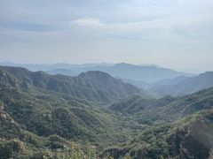 -大岭沟猕猴桃谷风景区