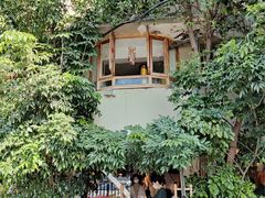 -野草莓自由市场