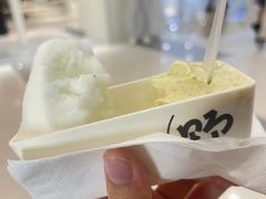 -野人先生Gelato(上海长宁龙之梦店)