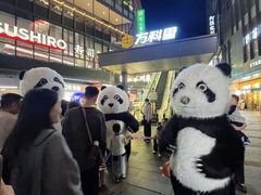 -江燕路万科里