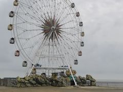 -奉贤海滩