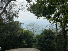 -火炉山森林公园