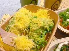 -油梨树AVOCADO TREE(嘉里中心店)
