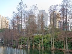 -荔枝公园(福田区)