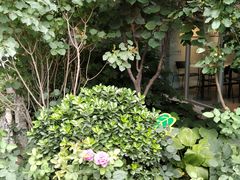 -老北京风情街