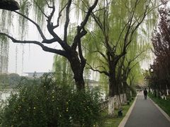 -香雪海饭店中餐厅(人民桥店)