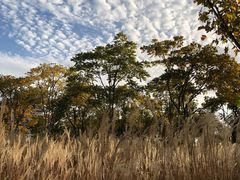 -上海山野camping·户外天幕烧烤·团建拓展营地