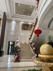 -禾丽康美医疗美容医院