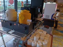 -碧桂园空港凤凰酒店(广州新白云机场店)