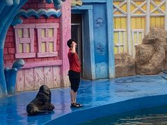 -华夏文旅海洋公园