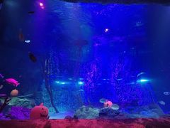 -沈阳海洋探索中心