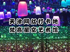 -天津梵高星空艺术馆(天河城旗舰店)