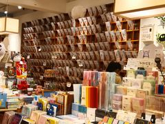 -猫的天空之城概念书店(束河店)