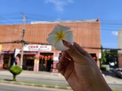 -宁曼路