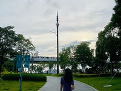 -宝安西湾红树林湿地公园