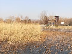 -绿堤公园