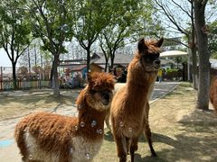 -太阳岛旅游度假区