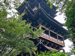 -杭州半山国家森林公园