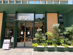 -gaga(金地威新中心店)