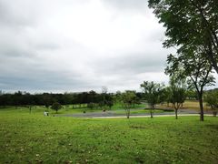 -盘龙城国家考古遗址公园