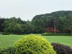 -铁山坪森林公园