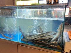 -本炙炭烤·蒲烧活鳗料理店(金沙洲店)