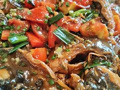 -生态苑农庄(十里画廊遇龙河店)