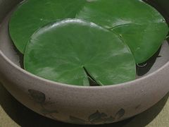 -素慧餐厅(大虹桥店)