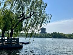 -济南大明湖景区
