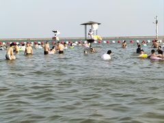 -碧海金沙