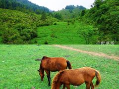 -乌江画廊(彭水苗族土家族自治县)
