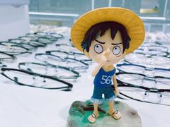 -潘多拉眼镜·蔡司依视路明月(潘家园店)