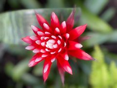 -国家植物园