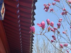 -张家湾公园