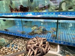 -周记老沈阳焦火鸡架