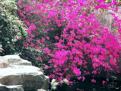 -人民公园(罗湖区)