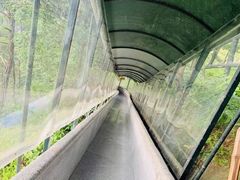 -龙湾潭国家森林公园