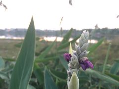 -常德桃花源景区