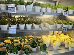 -海底捞大排档火锅(打浦路店)