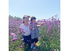 -北京东方普罗旺斯薰衣草庄园