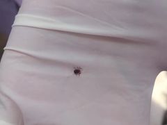 -宠颐生中康贝怡动物医院
