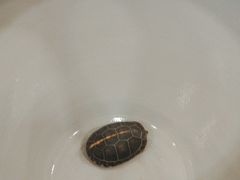 -九忠祥小笼馆(保利时光里店)