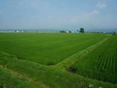 -富田农场