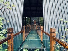 -云碧峰国家森林公园