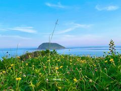 -漳州滨海火山岛自然生态风景区