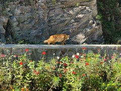-北京西山国家森林公园