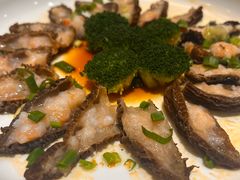 -顺德了能馆(虎门店)