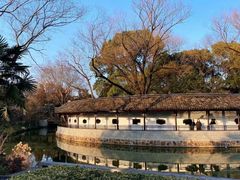 -红梅公园